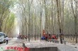 Khu vực Tây Nguyên: Đặc thù địa hình gây khó cơ giới hóa
